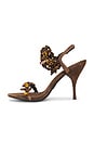 view 5 of 5 SANDALES VOLCANA in Brown Suede Combo