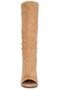 view 5 of 5 Lamia Boot in Beige Suede
