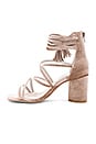 view 5 of 5 Despina Sandals in Champagne Velvet