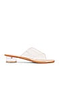view 1 of 5 Bronwen Sandal in Clear & Natural
