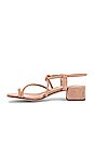 view 5 of 5 Zella Sandal in Nude Suede