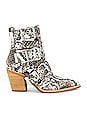 view 1 of 5 Caceres Bootie in Brown & Grey Snake