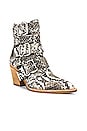 view 2 of 5 Caceres Bootie in Brown & Grey Snake