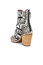 view 3 of 5 Caceres Bootie in Brown & Grey Snake