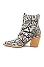 view 5 of 5 Caceres Bootie in Brown & Grey Snake