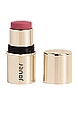 view 1 of 6 Blush & Bloom Cheek + Lip Stick in Bare Rose