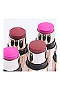 view 3 of 6 Blush & Bloom Cheek + Lip Stick in Bare Rose