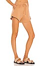 view 2 of 4 Evie Short in Cashew