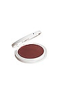 view 1 of 2 Lid Tint Satin Eye Shadow in Plum