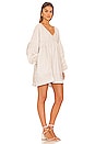 view 2 of 3 Lillian 4.0 Ramie Mini Dress in Moon
