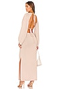 view 3 of 3 Aurora 2.0 Maxi Dress in Moon