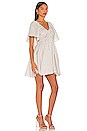 view 2 of 4 Irma Linen Mini Dress in Black Flax Pinstripe