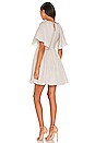 view 3 of 4 Irma Linen Mini Dress in Black Flax Pinstripe
