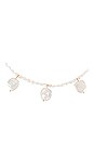 view 2 of 2 Dramman Necklace in Pearl