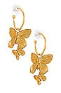 view 1 of 3 Brynn Hoop Earring in Gold