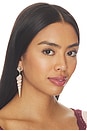 view 3 of 3 Zingaro Earrings in Dove