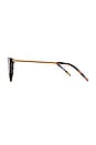 view 3 of 3 LUNETTES DE SOLEIL BROW in Tortoiseshell