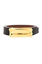 view 3 of 3 Sundra Convertible Belt in Black/chestnut & Gold