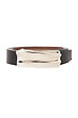 view 3 of 3 Sundra Convertible Belt in Black/chestnut & Silver