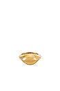 view 1 of 3 BAGUE STUDIO in Gold
