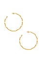 view 3 of 3 Playful Squiggle Earrings in Gold
