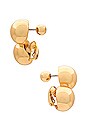 view 2 of 2 Lyra Climber Earrings in Gold