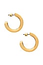 view 2 of 3 Doune Hoop Earring in High Polish Gold