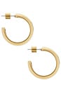 view 2 of 3 Staple Hoops Medium Earrings in High Polish Gold