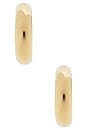 view 3 of 3 Staple Hoops Medium Earrings in High Polish Gold