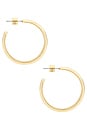 view 2 of 3 Staple Hoops Large Earrings in High Polish Gold