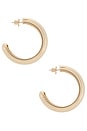 view 2 of 3 Large Gia Hoops in Gold