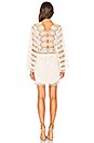 view 3 of 3 Isabella Mini Dress in Naturale Lace