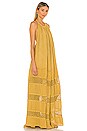 view 2 of 3 Waimea Maxi Dress in Jibarita Whiskey