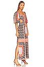 view 2 of 3 Roma Doe Maxi Dress in Roma Rust