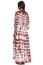 view 3 of 4 Magician Maxi Dress in Earth & Natural Lightning Tie Dye