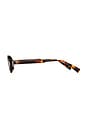 view 2 of 4 LUNETTES DE SOLEIL THE ELVIE in Dark Tortoise