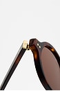 view 4 of 4 LUNETTES DE SOLEIL THE ELVIE in Dark Tortoise