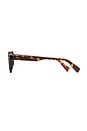 view 3 of 3 LUNETTES DE SOLEIL ELY in Dark Tortoise & Blue