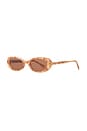 view 2 of 3 LUNETTES DE SOLEIL JANNA  in Light Tortoise