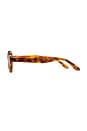 view 3 of 3 Freja Sunglasses in Tortoise