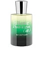 view 1 of 2 Ex Vetiver Eau De Parfum 50ml in 