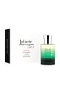 view 2 of 2 Ex Vetiver Eau De Parfum 50ml in 
