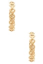 view 3 of 4 Link Baby Hoop Earrings in Yellow Gold
