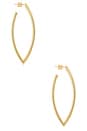 view 2 of 4 BOUCLES D'OREILLES FEATHER HOOP in Gold