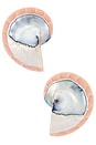 view 1 of 2 x REVOLVE Nautilus Earrings in White & Pink