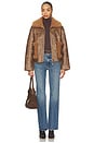 view 5 of 5 CHAQUETA VERA in Tan