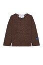 view 1 of 3 Loose Knit Sweater in Brown