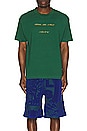 view 4 of 4 Angels Among Us Tee in Green