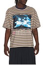 view 1 of 5 T-SHIRT in Stripe