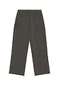 view 2 of 6 Gothic Pinstripe Goliath Trousers in Grey